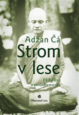 adzan-Ca-strom-v-lese.jpg